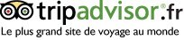 advisor