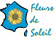 Fleurs de soleil