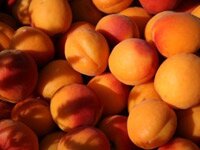 abricots